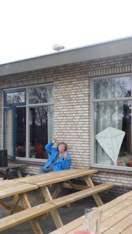 HWK Texel 2015 055.jpg